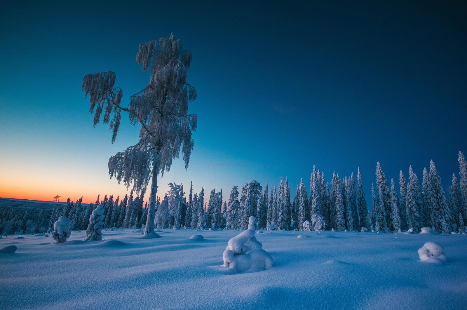 Wallpapers Twilight during the polar night Finland winter on the desktop