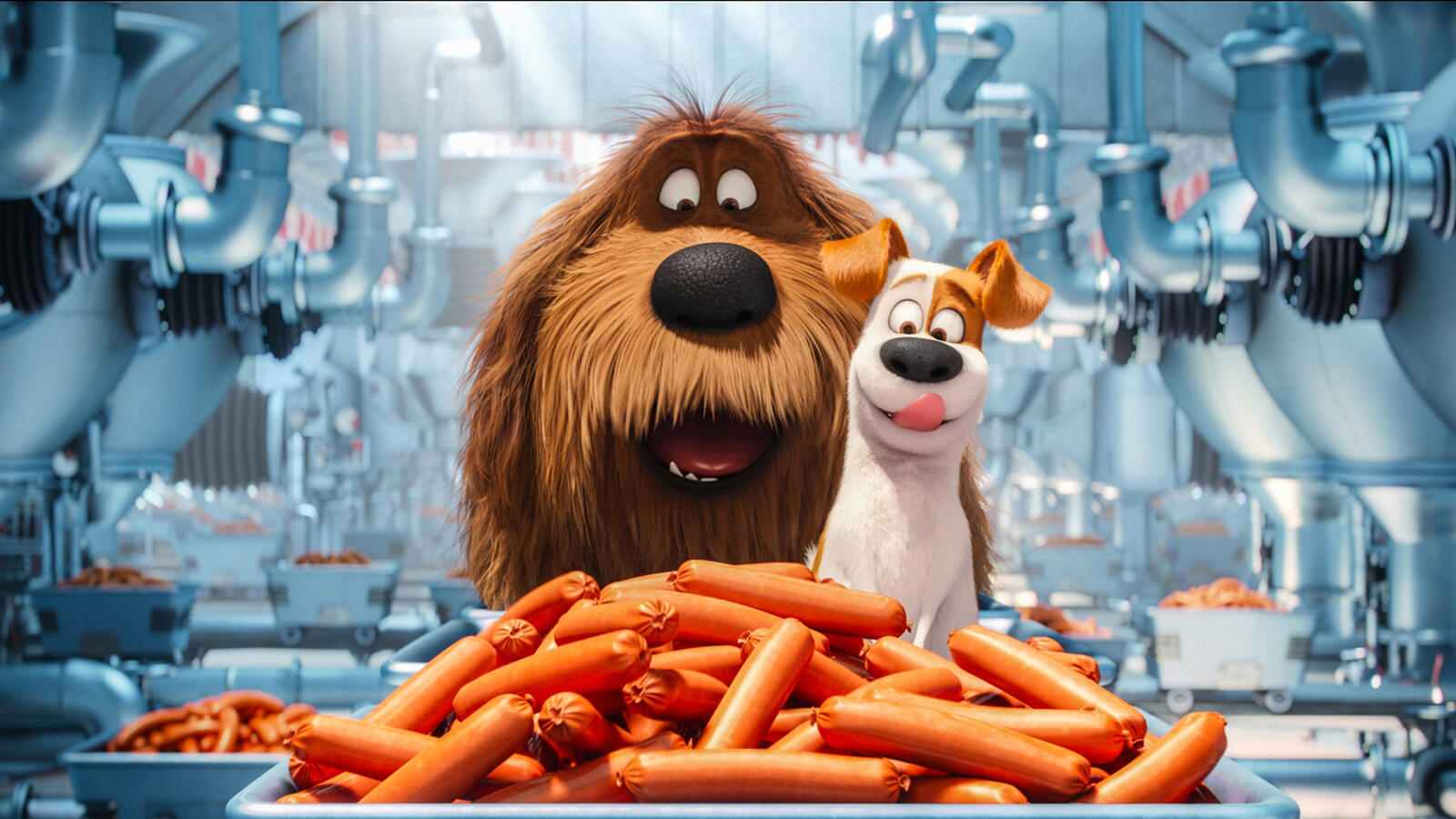 Wallpapers movies cartoons The Secret Life Of Pets on the desktop
