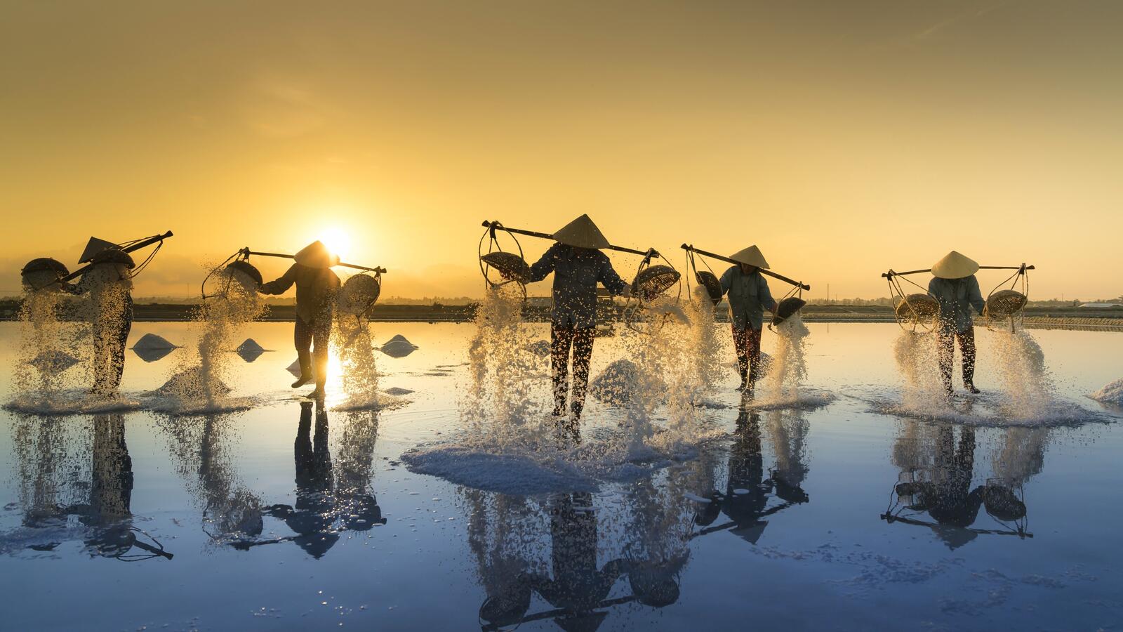 Wallpapers vietnam people sunrise farm on the desktop
