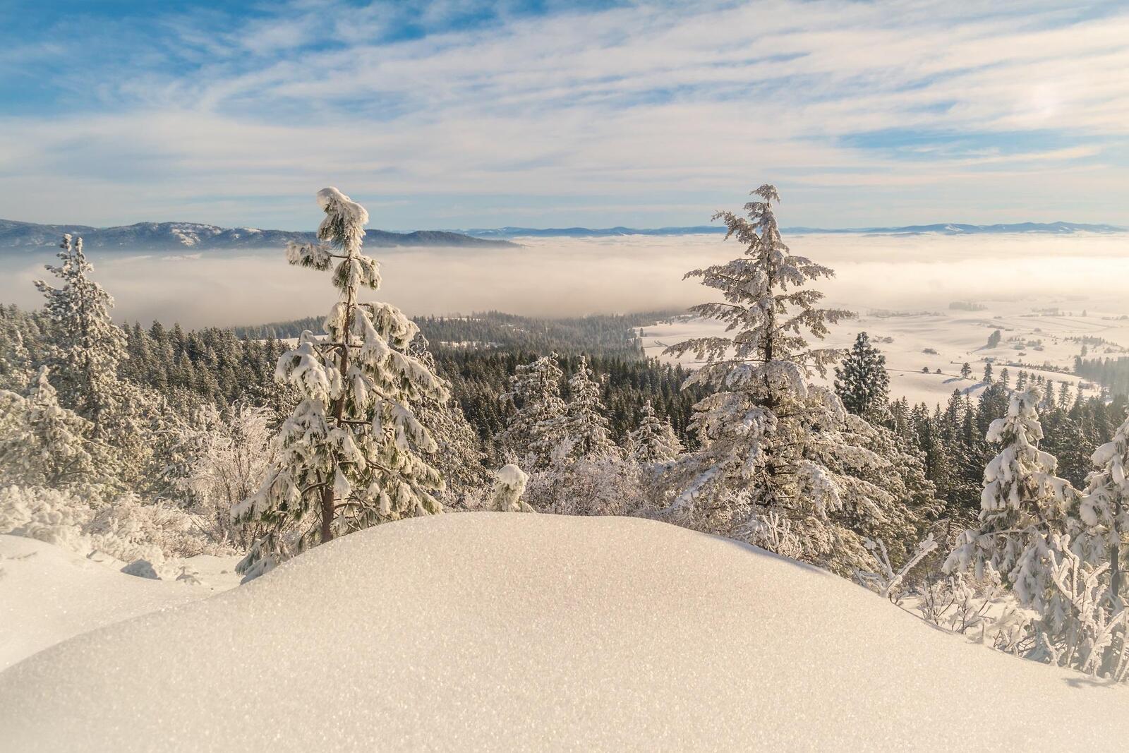 Обои Spokane Valley Washington зима на рабочий стол