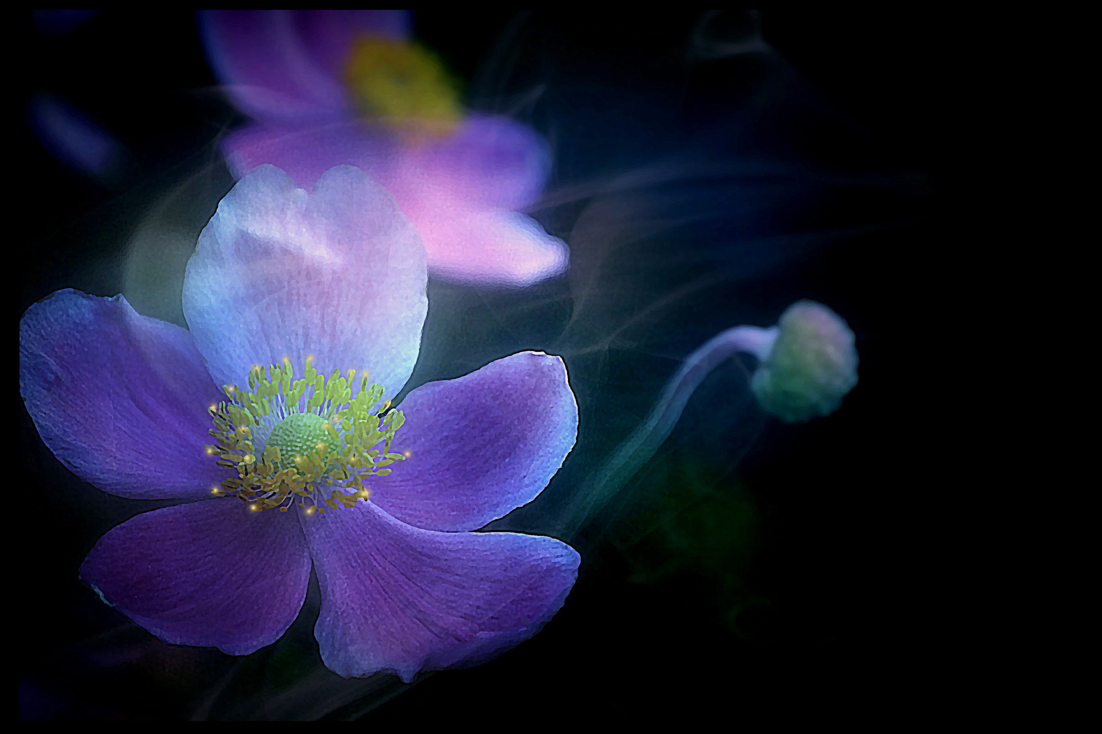 Удивительный цветок · бесплатное фото