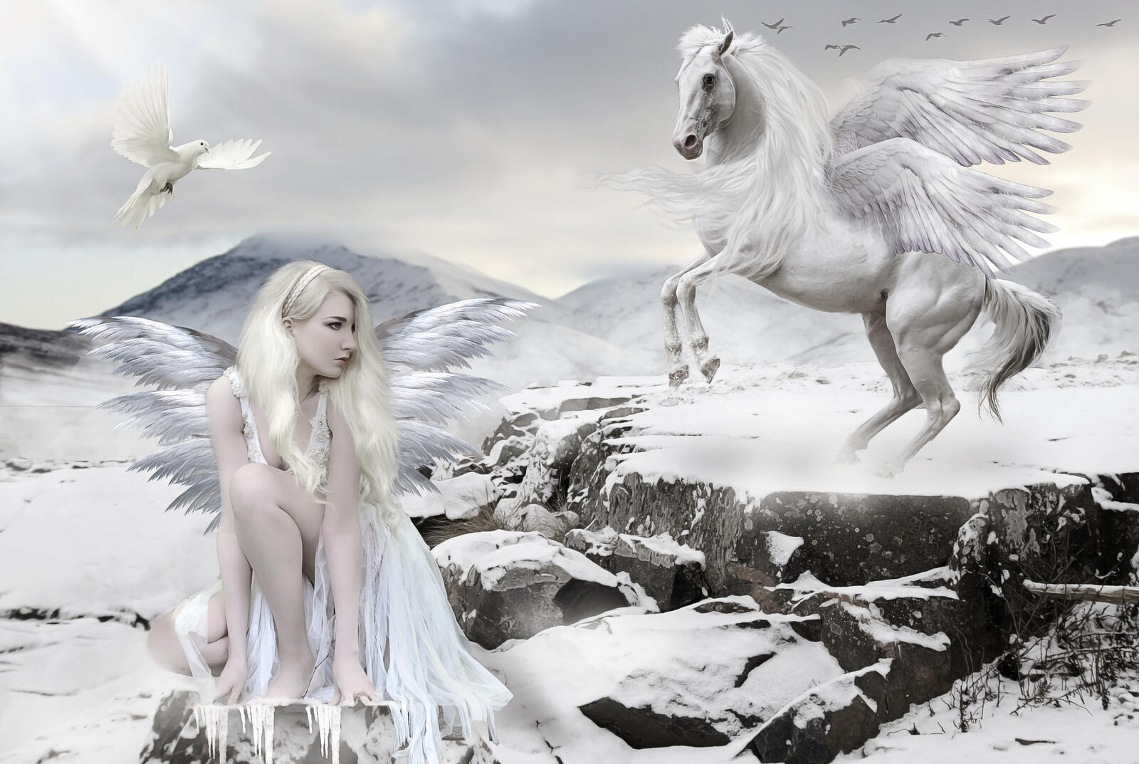 Wallpapers girl blonde winged horse on the desktop