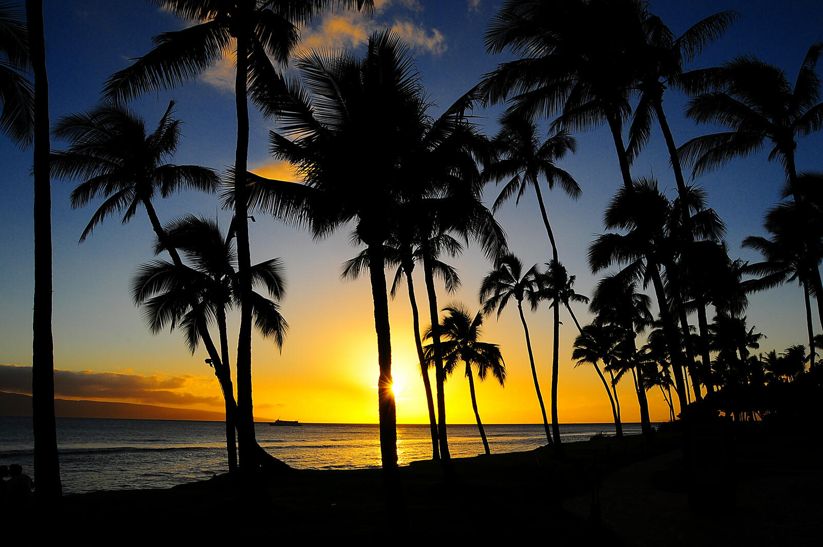 Wallpapers United States Hawaii silhouettes on the desktop