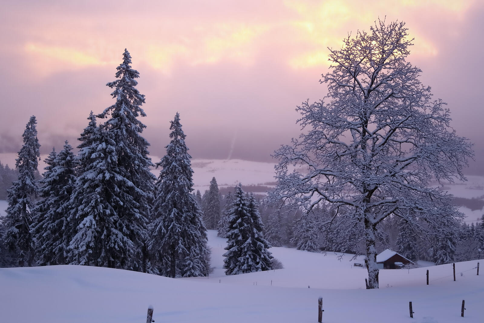 Обои Утро зима в Тет-де-Ран Невшатель Швейцария на рабочий стол