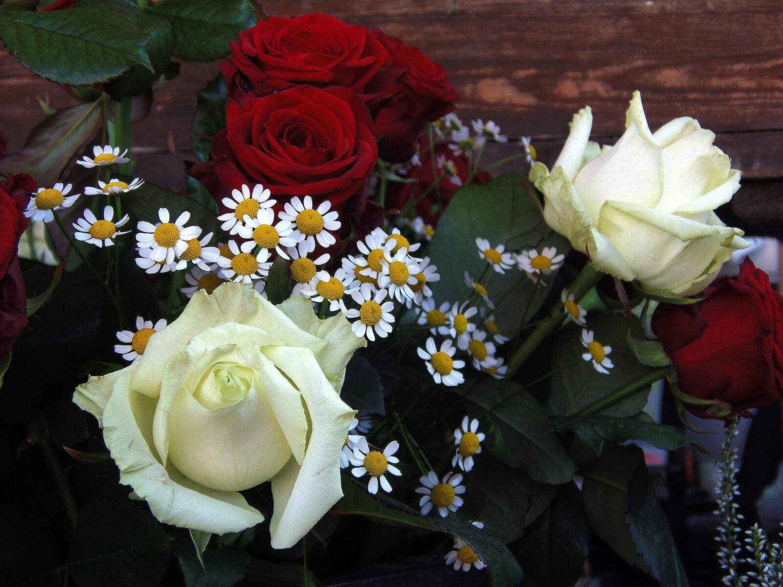Обои белые розы красные розы ромашки на рабочий стол