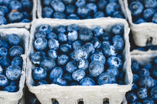 Blueberries in the trays