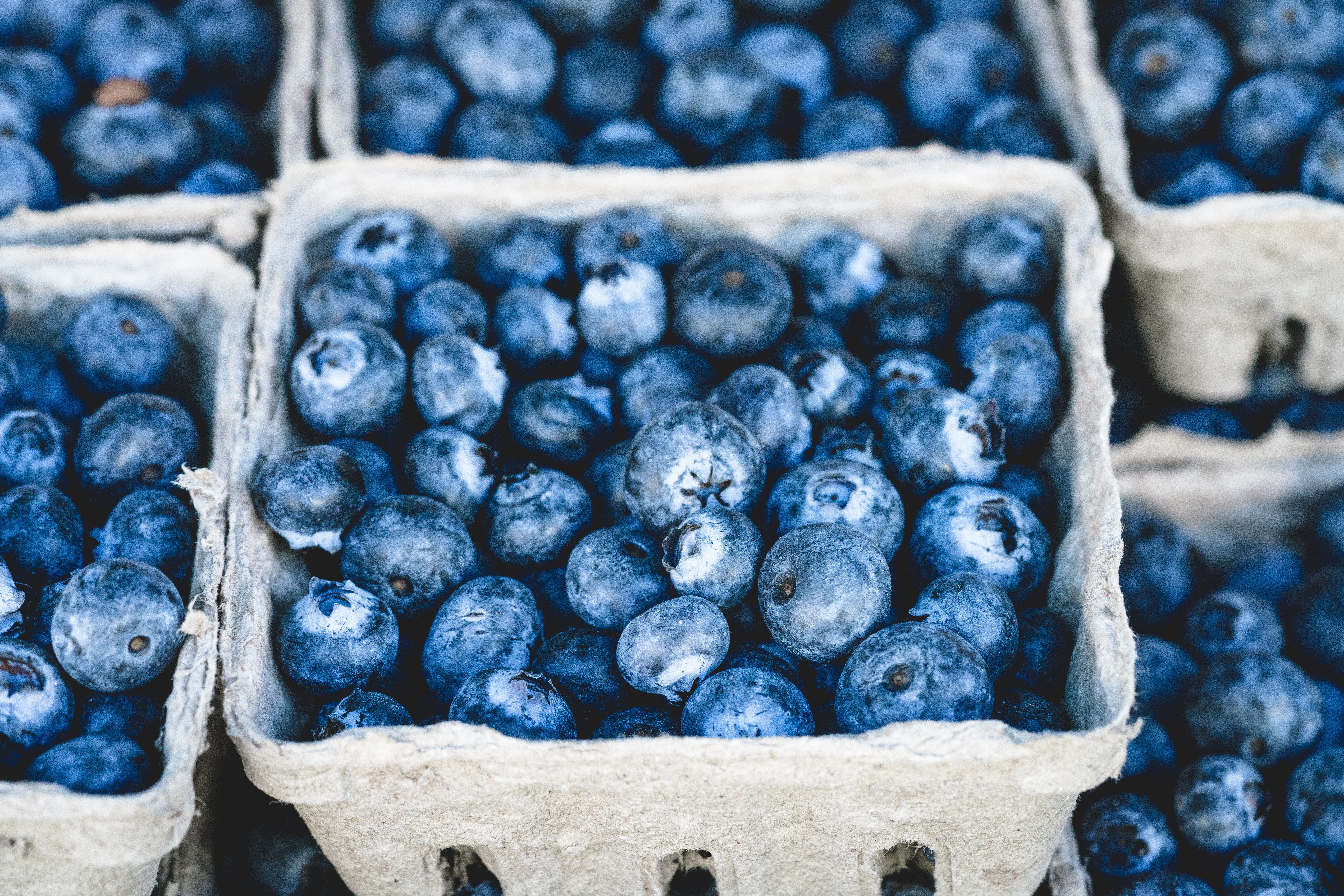 Free photo Blueberries in the trays