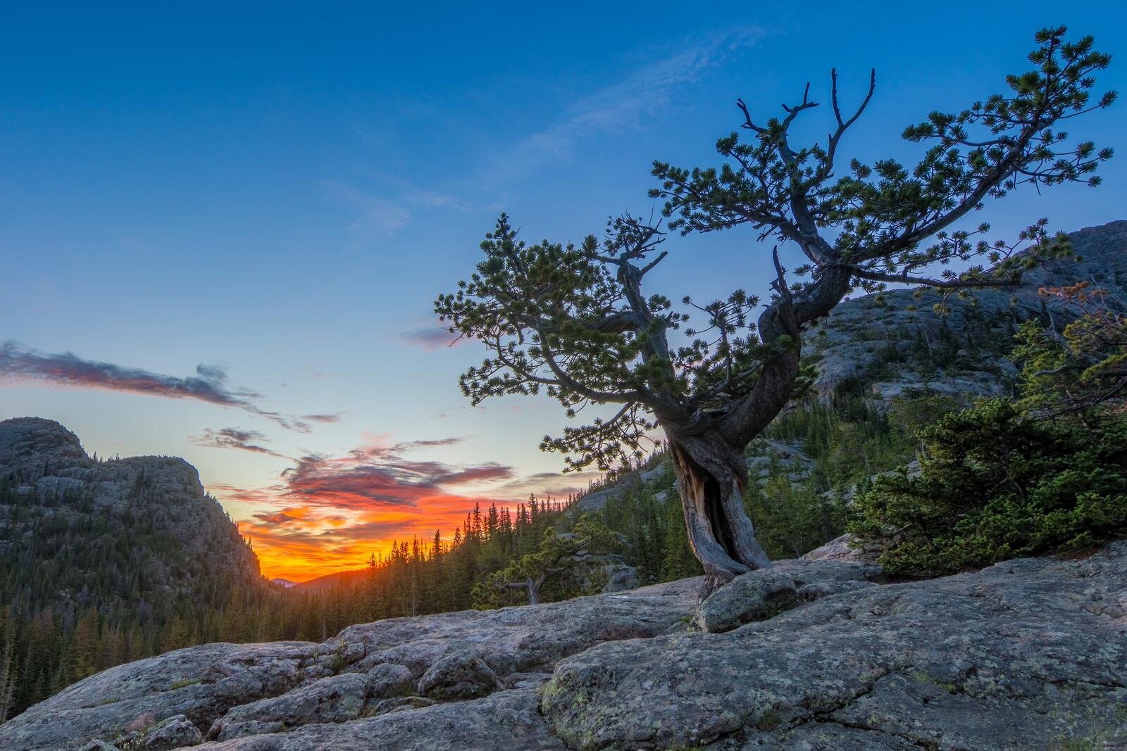 桌面上的壁纸岩石山国家公园 科罗拉多州 日落