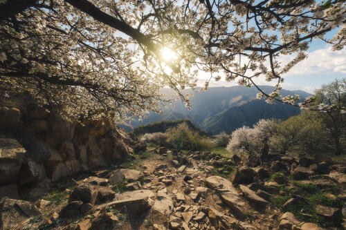 Весна на Кавказе · бесплатное фото