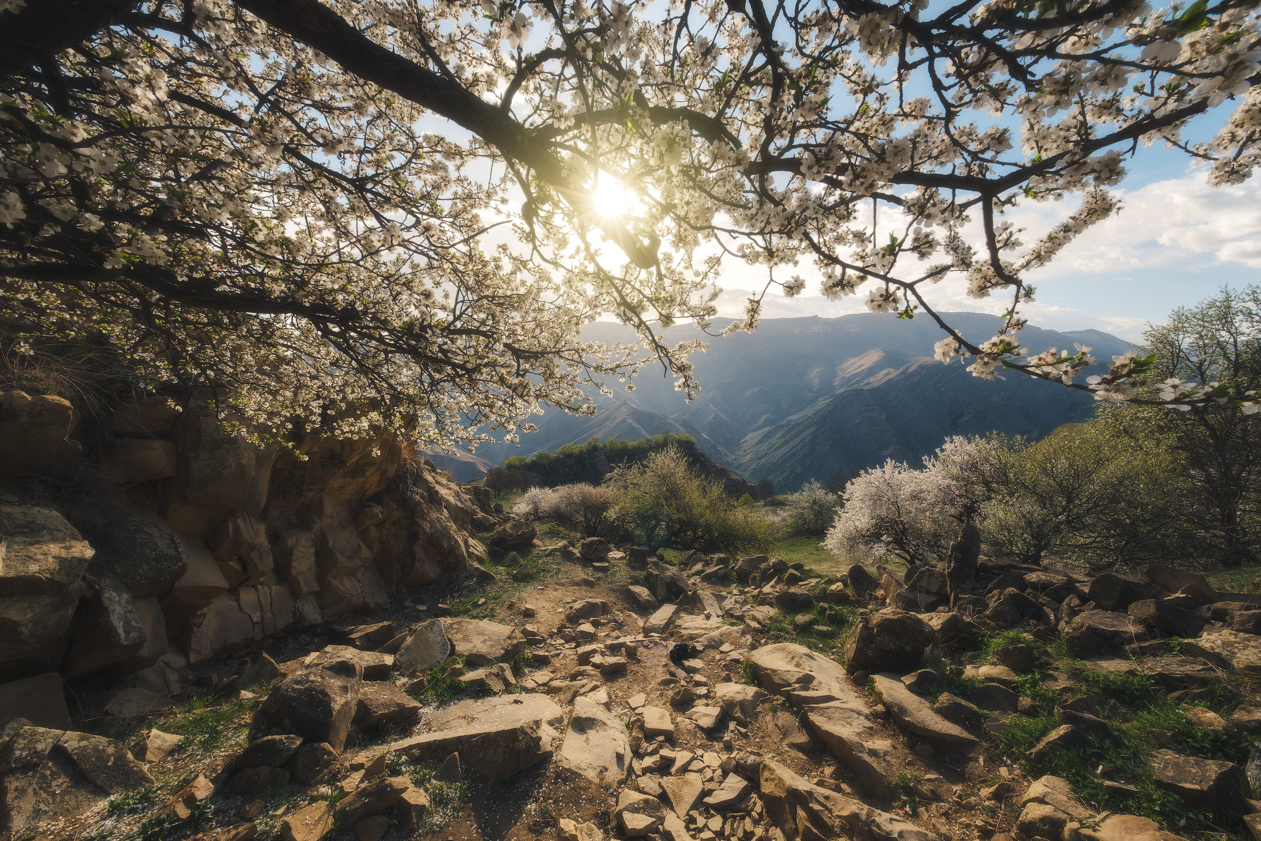 Бесплатное фото Весна на Кавказе