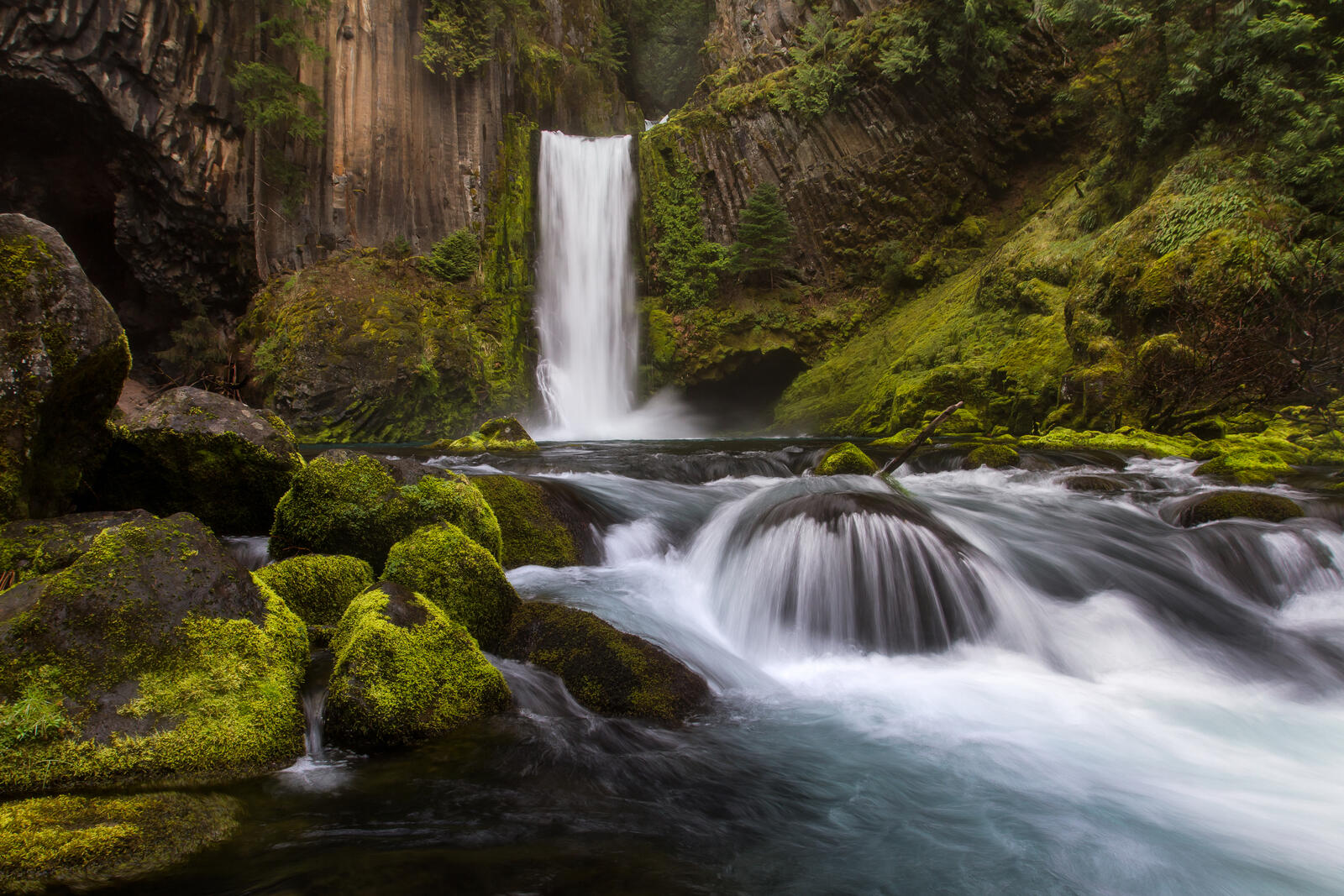 免费照片俄勒冈州的瀑布