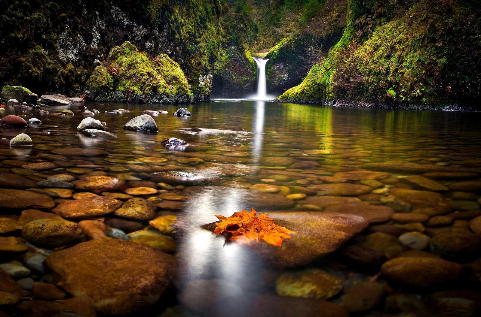 Wallpapers waterfall nature transparent water on the desktop