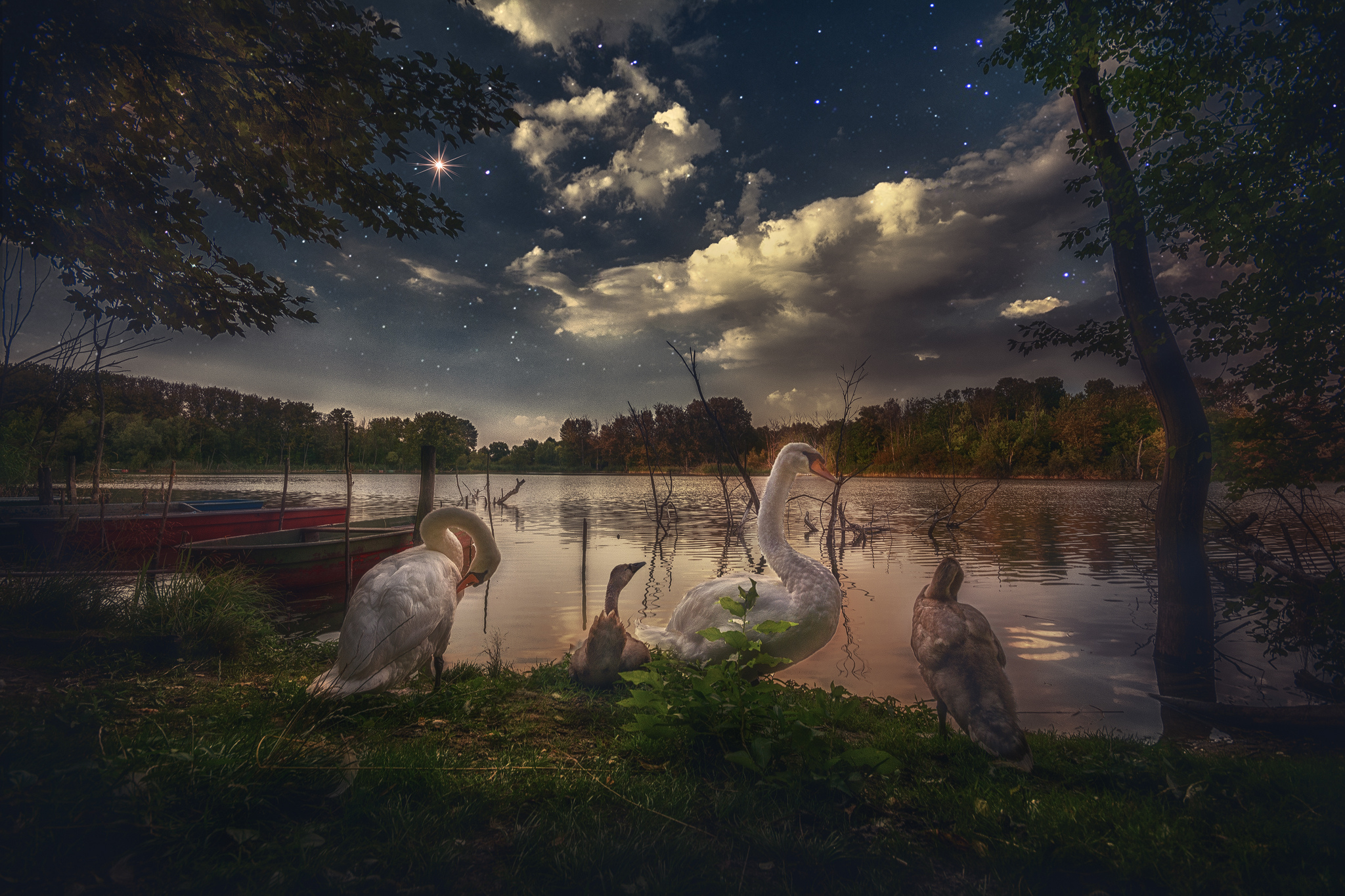 Photo free evening, twilight, lake