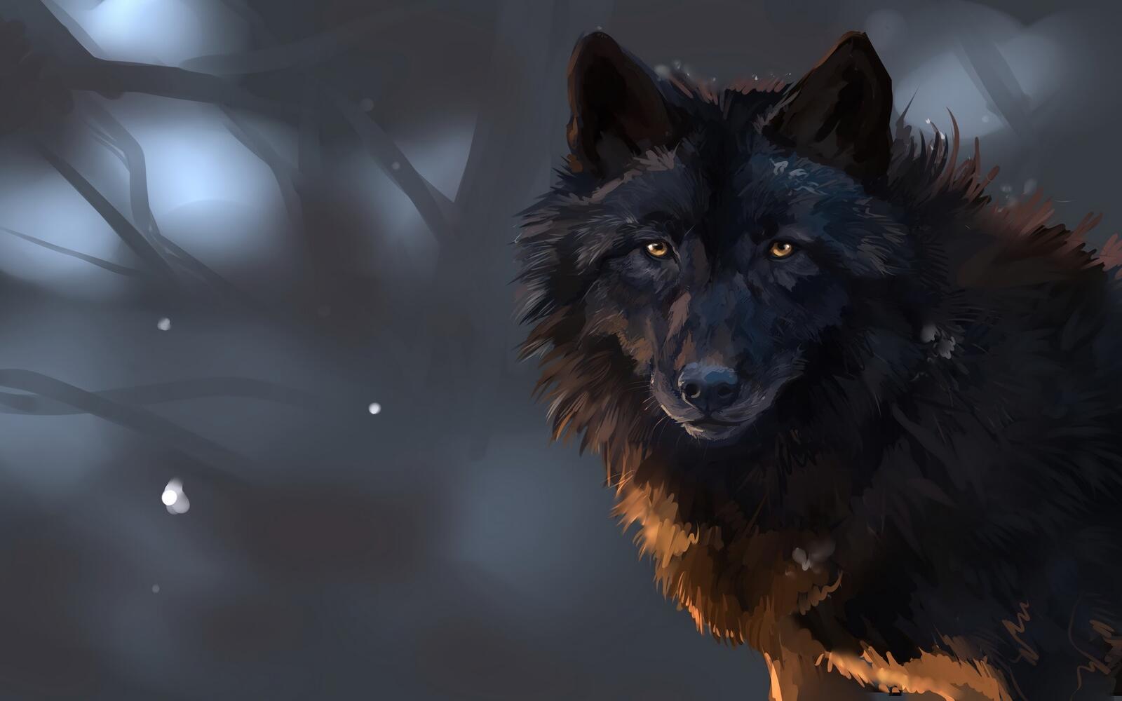Wallpapers wolf black drawing on the desktop