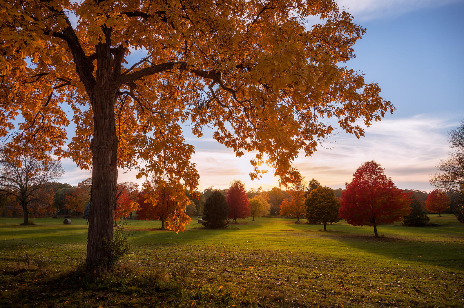 免费照片在秋天的季节里，五颜六色的树木