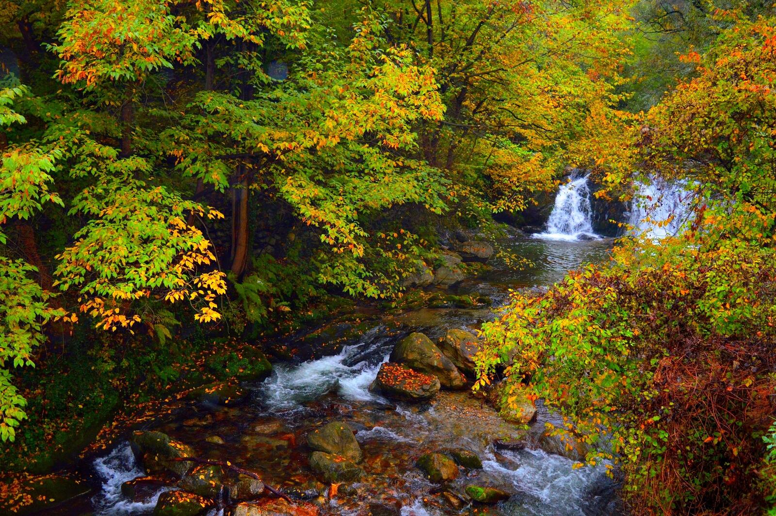 Обои осенний водопад река осень на рабочий стол