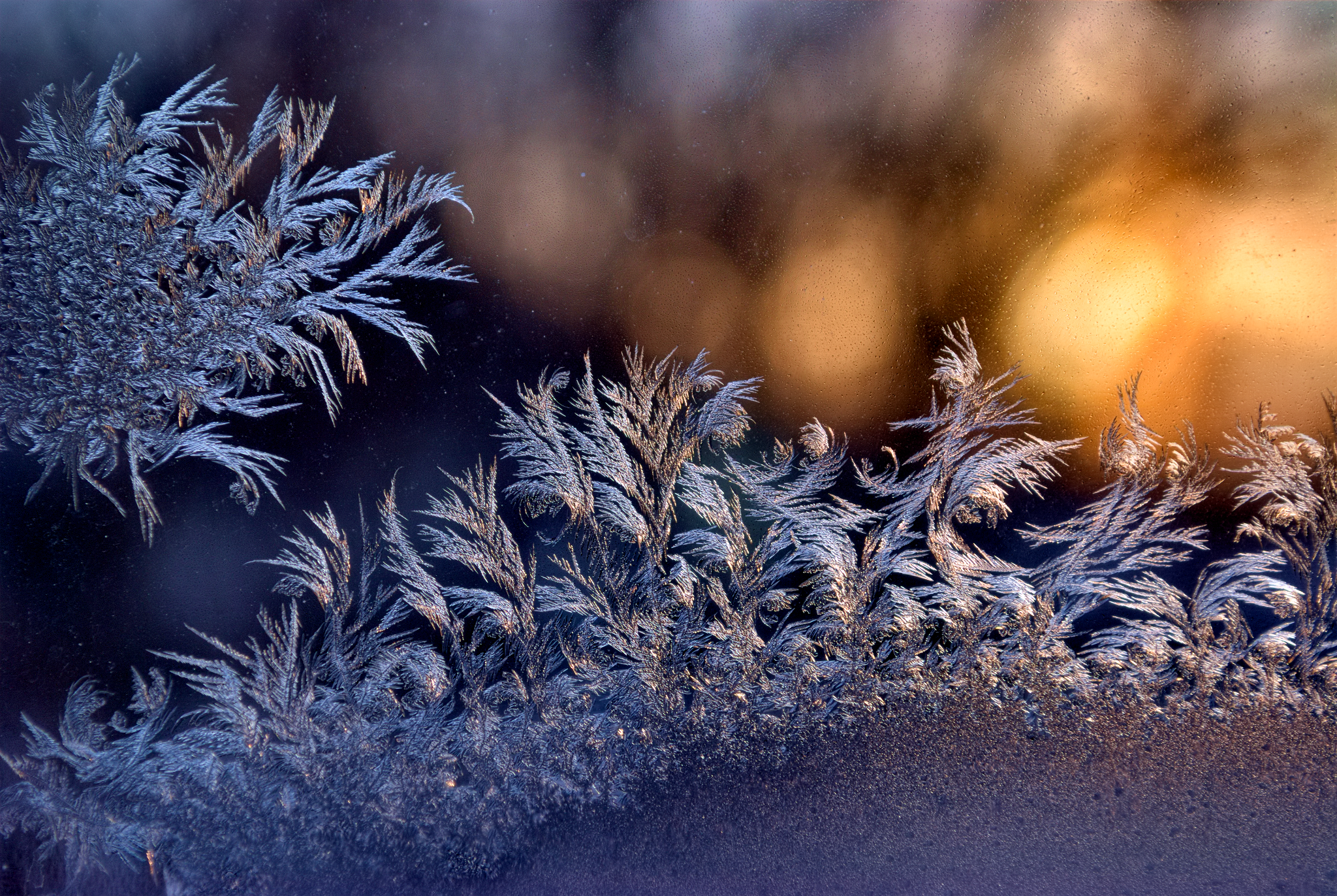 Photo free frozen glass, frost, patterns