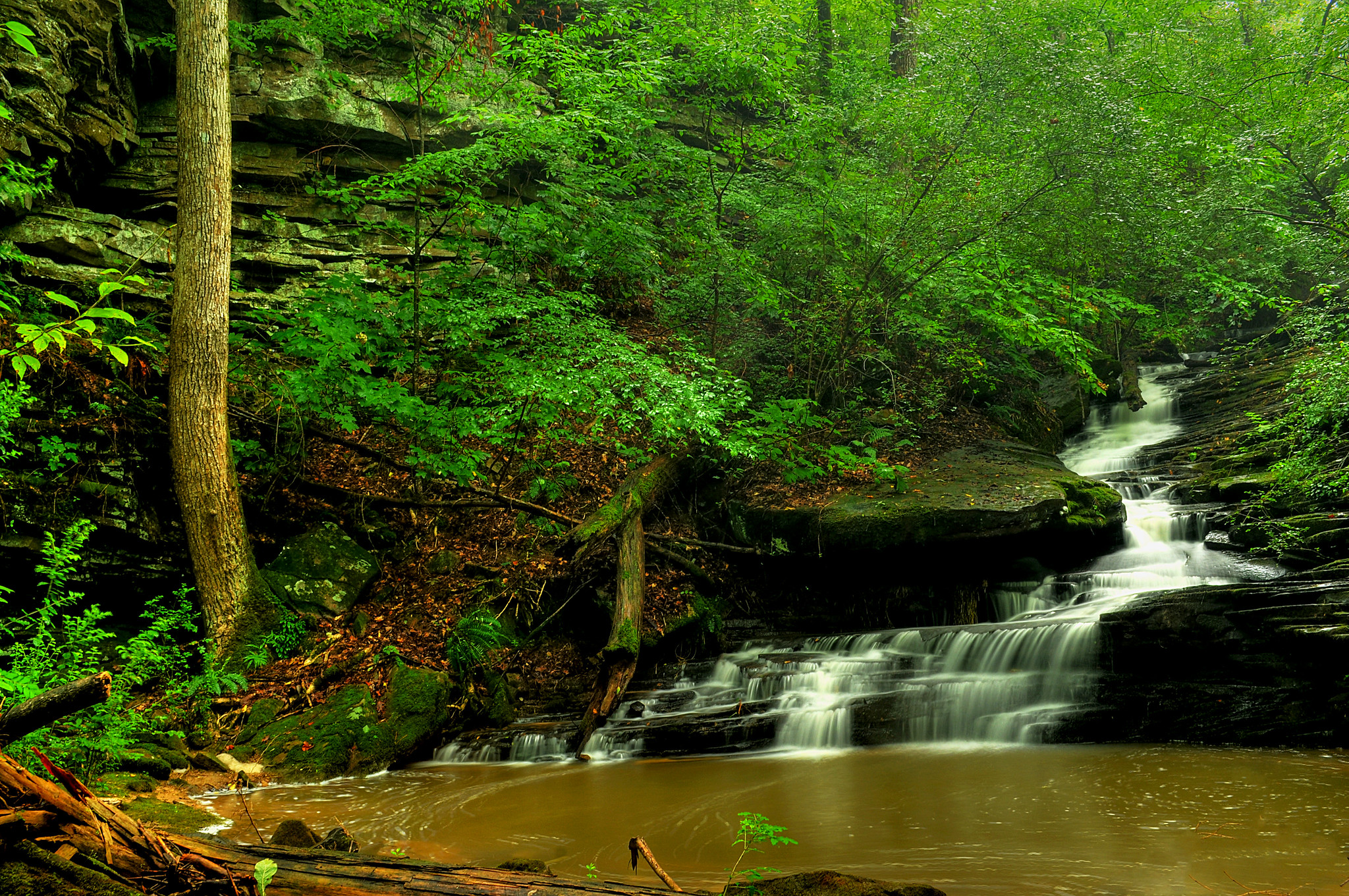 Фото пейзажи нектарные водопады зеленая листва - бесплатные картинки на Fonwall