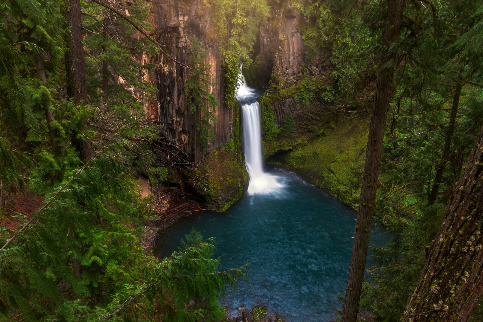 Бесплатное фото Водопад в хвойном лесу