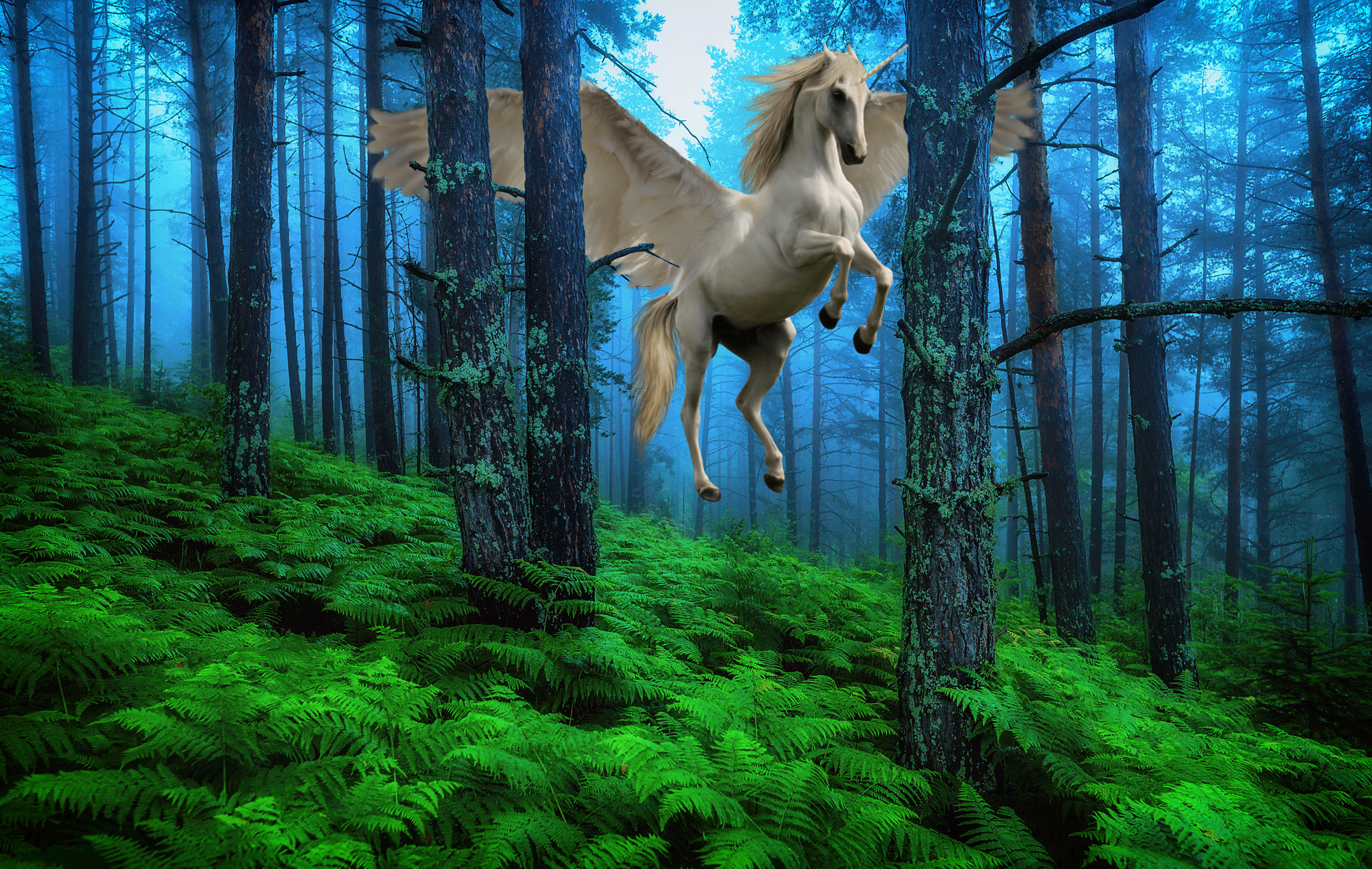 Wallpapers the winged horse photoshop trees on the desktop