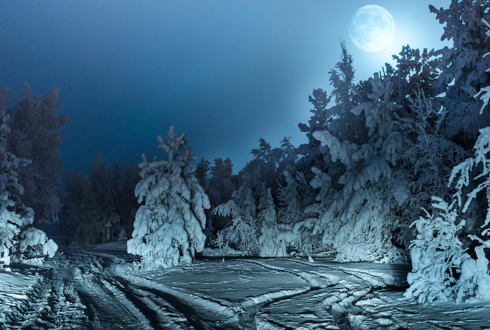 Обои зима луна лес на рабочий стол