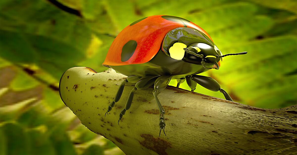 Ladybug closeup on a branch