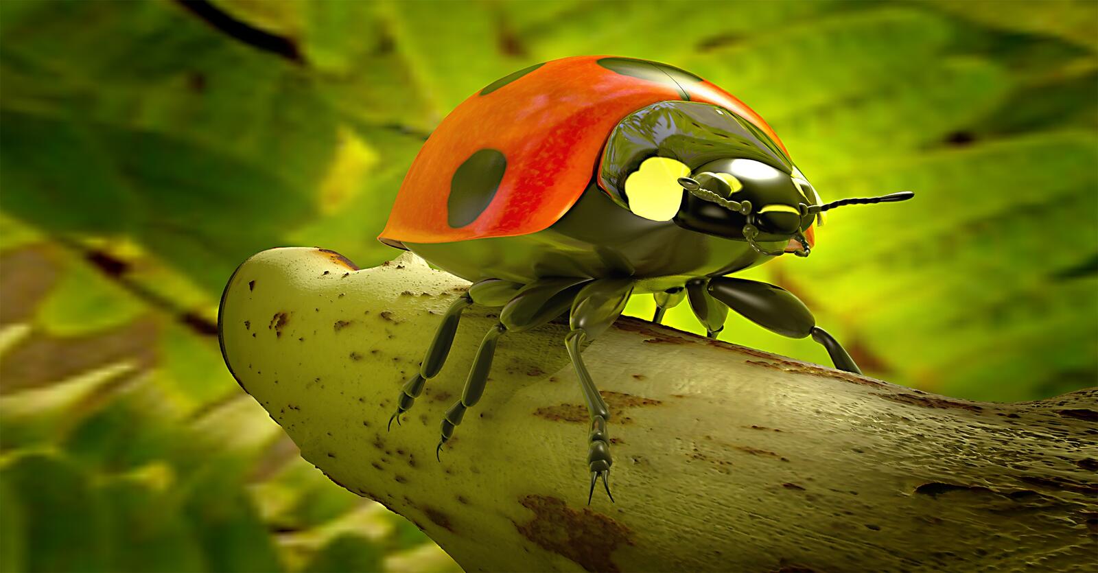 Free photo Ladybug closeup on a branch
