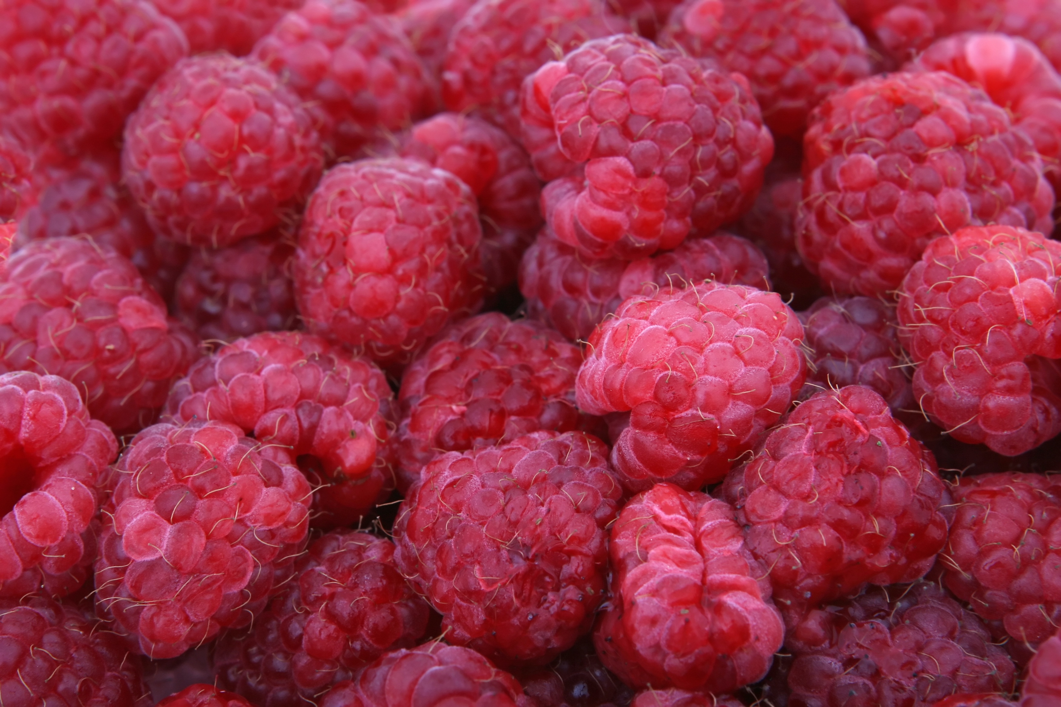 Wallpapers raspberries macro berries on the desktop