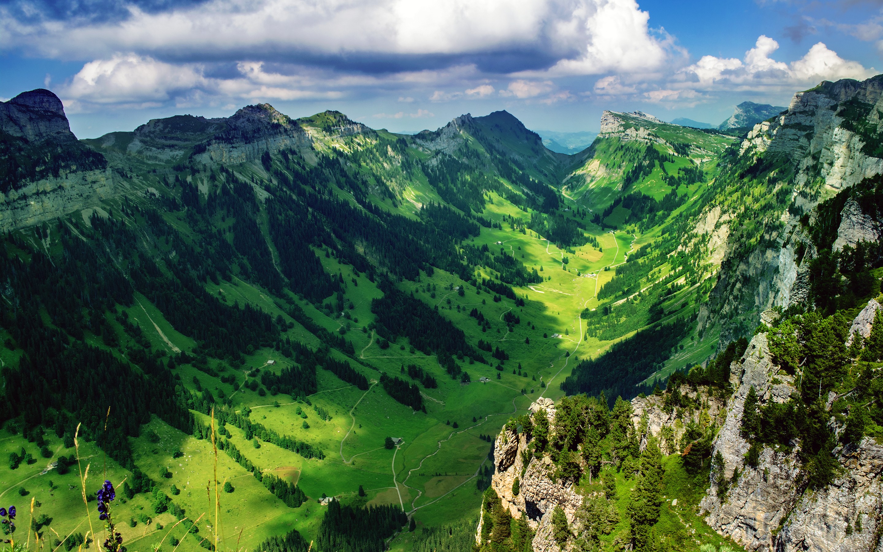 Фото бесплатно природа, швейцария, деревья
