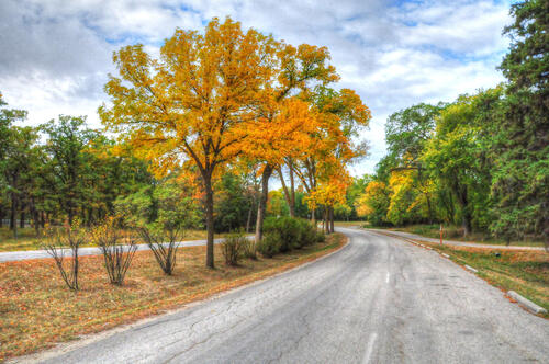 Countryside Autumn Road