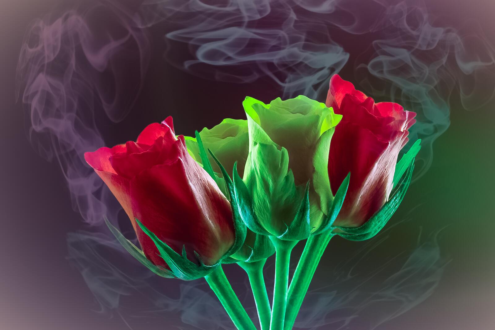 Бесплатное фото Цветы для мамы конечно же тюльпаны