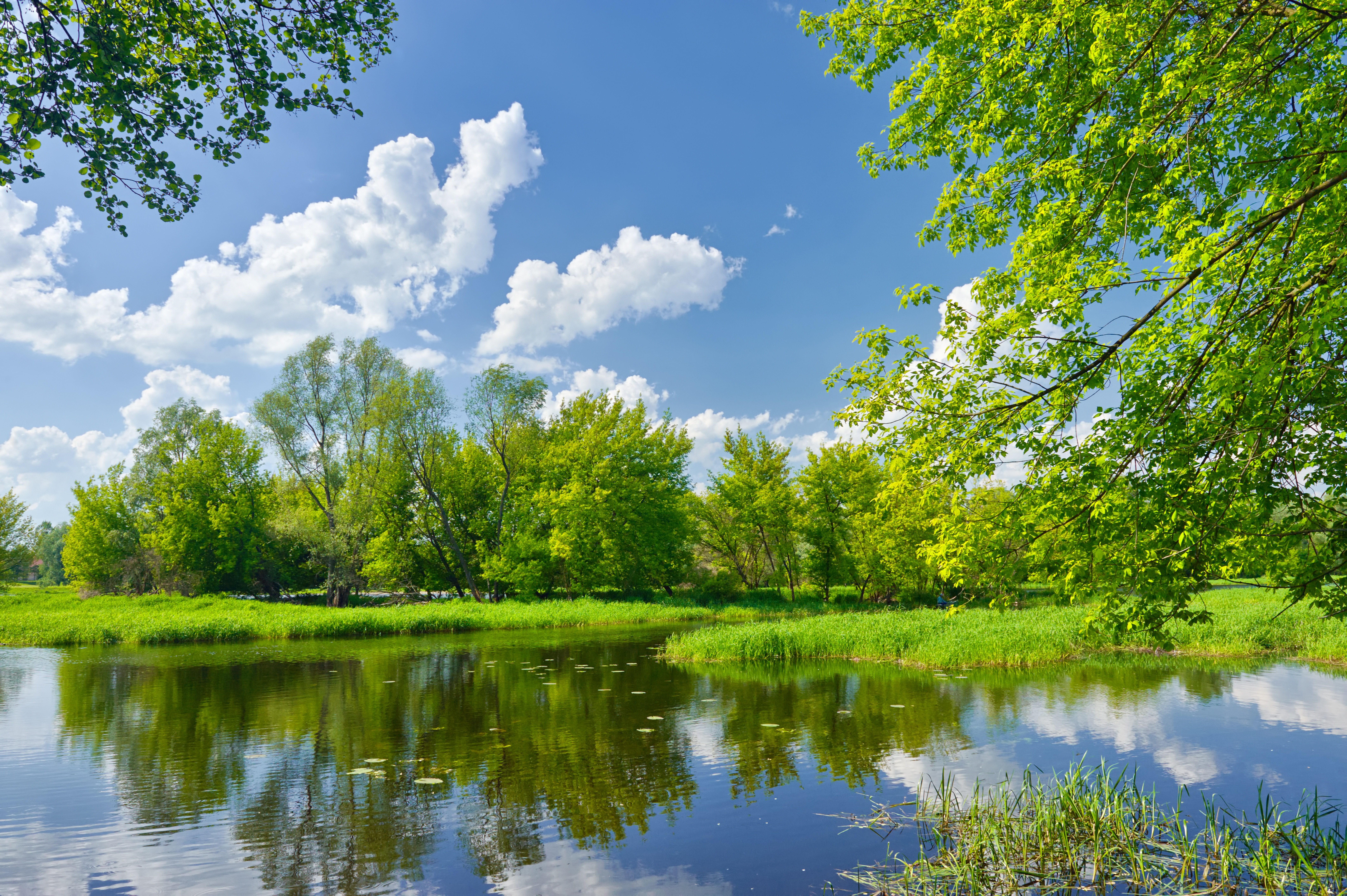 Фото бесплатно Весенний пейзаж с реки Нарев, река, весна