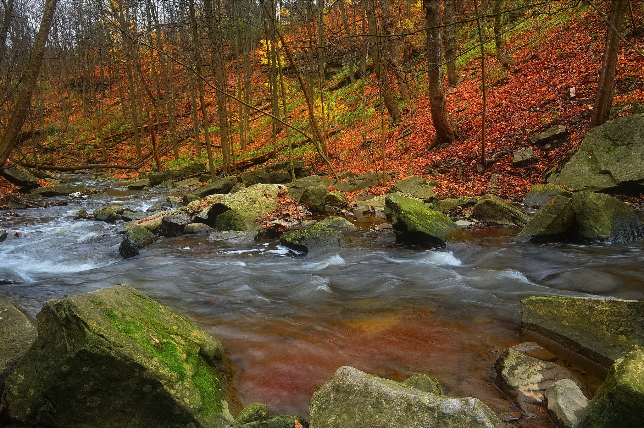 Фото бесплатно осень, река, мох на камнях