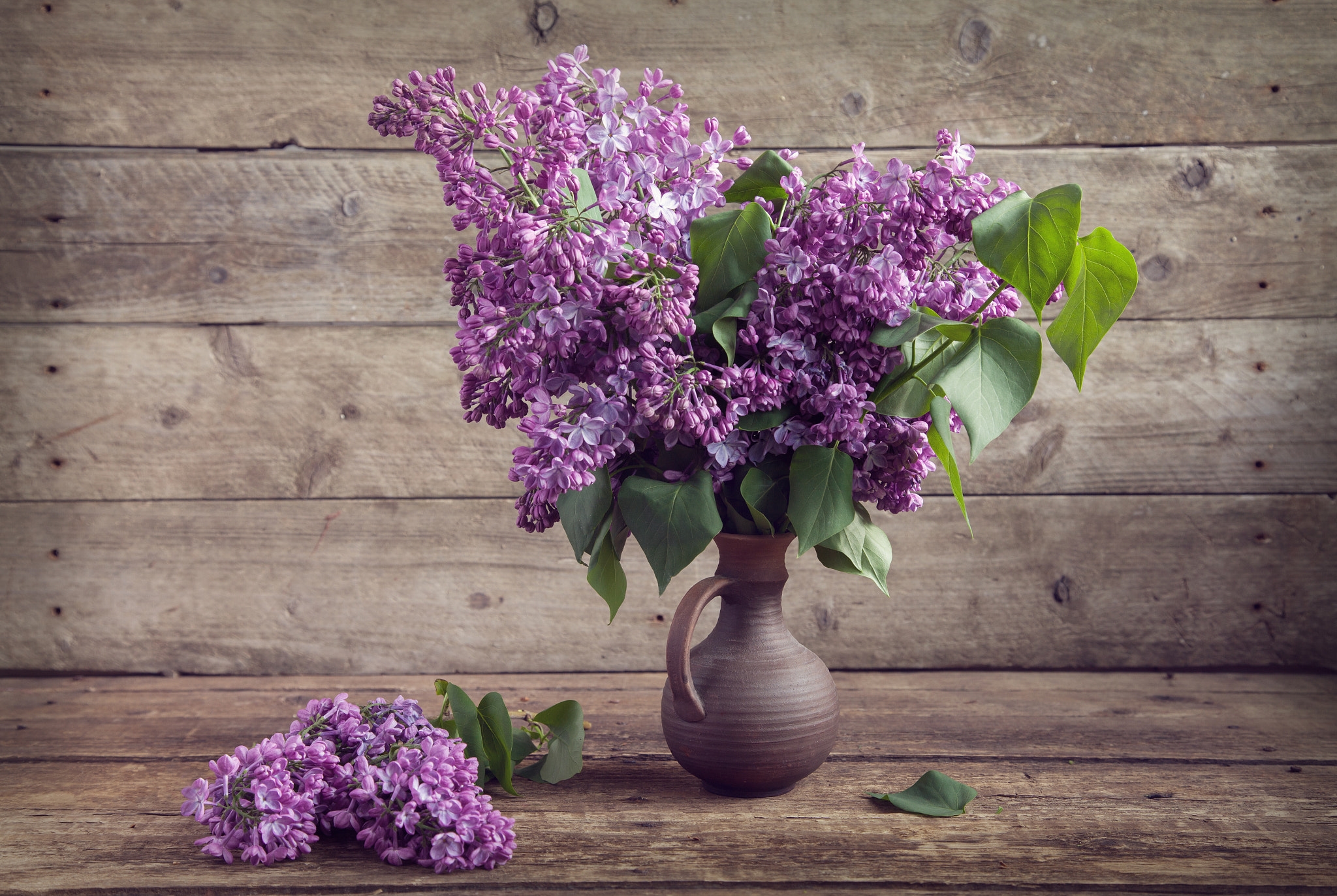 Wallpapers flowers still life lilac on the desktop