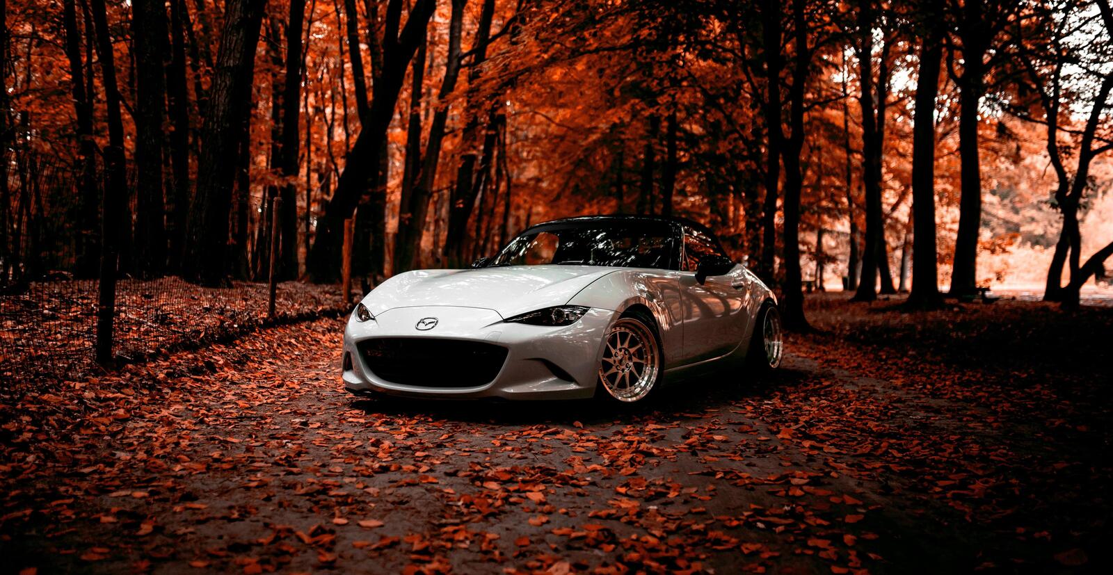 Wallpapers Mazda MX5 autumn Park on the desktop