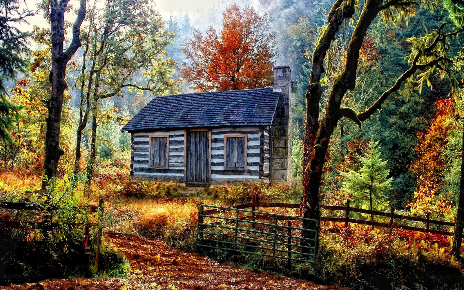 Обои заброшенный домик осень лес на рабочий стол
