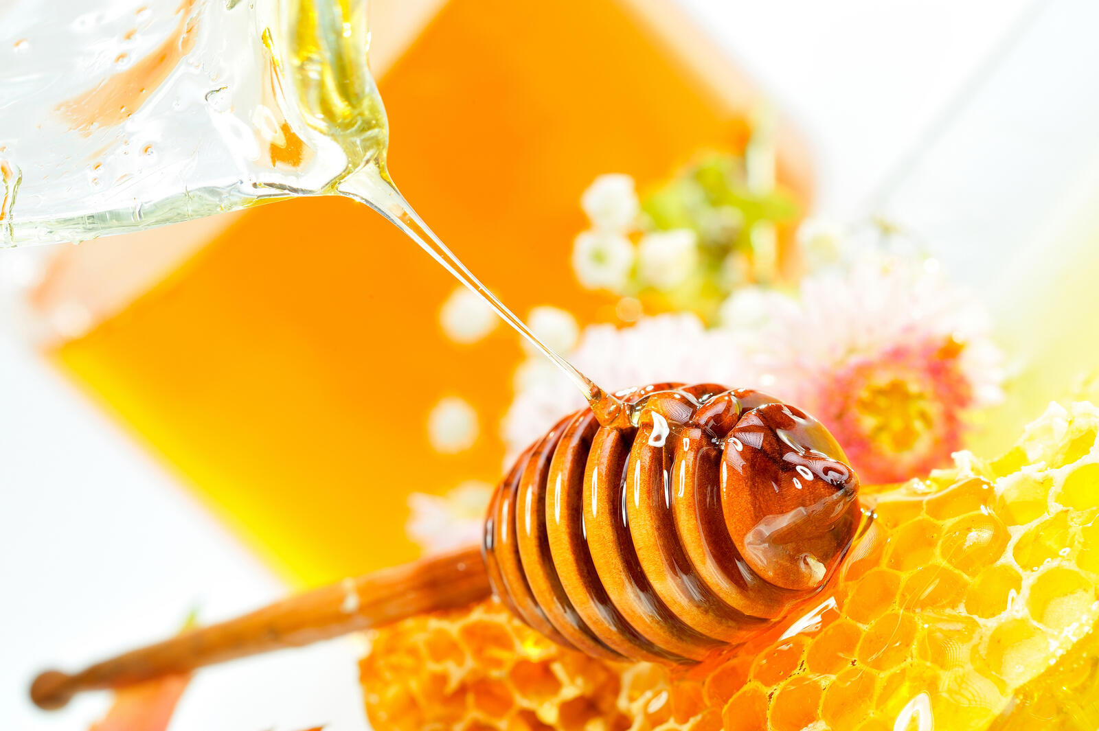 Free photo A trickle of freshly honey