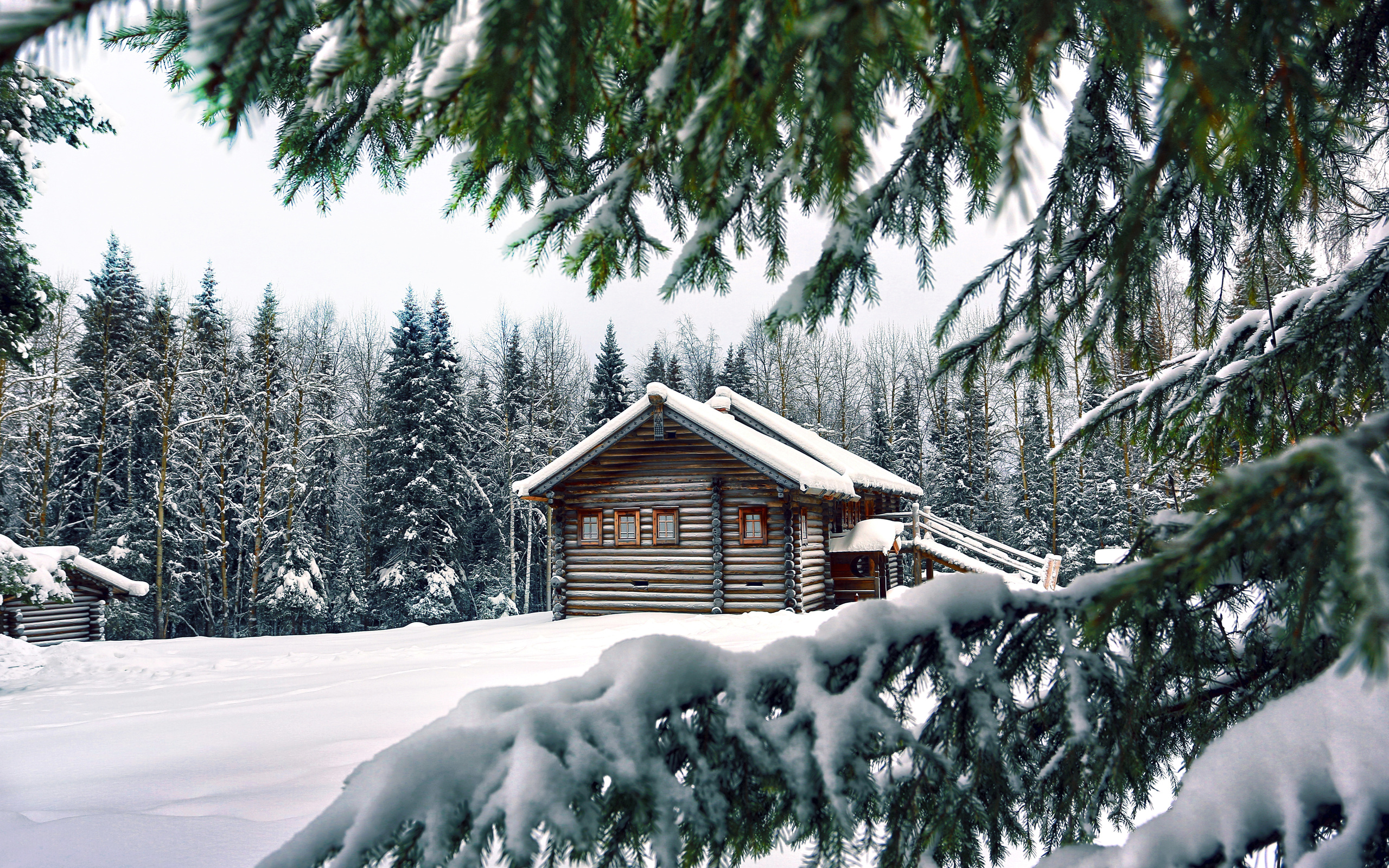 Бесплатное фото Старый дом в лесу зимой