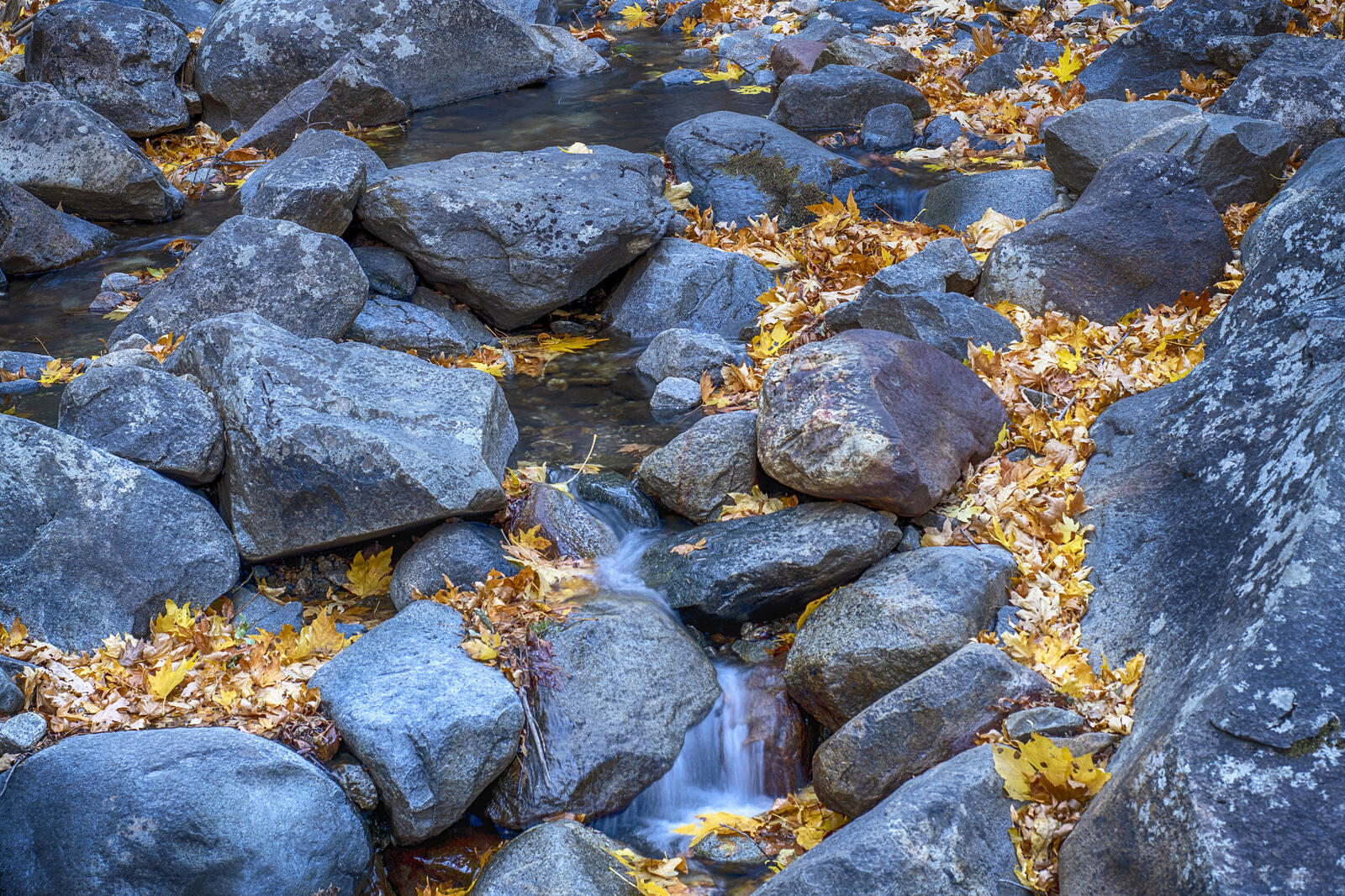 Free photo Rocks and autumn leaves