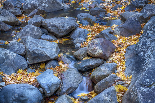 Rocks and autumn leaves