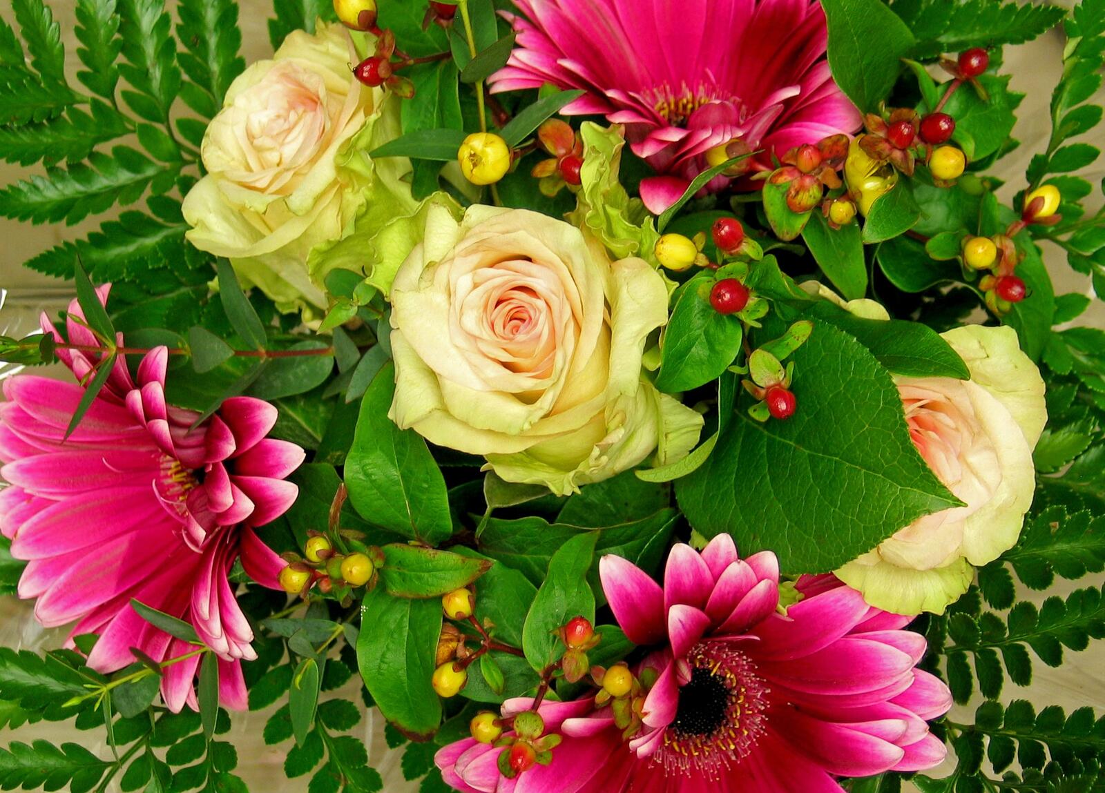 Обои цветочный цветочная композиция оригинал на рабочий стол