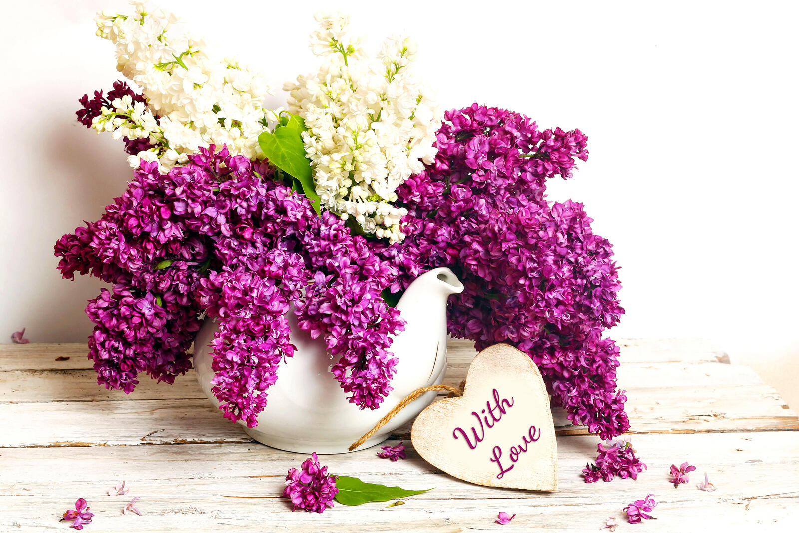 桌面上的壁纸静物 植物群 紫花