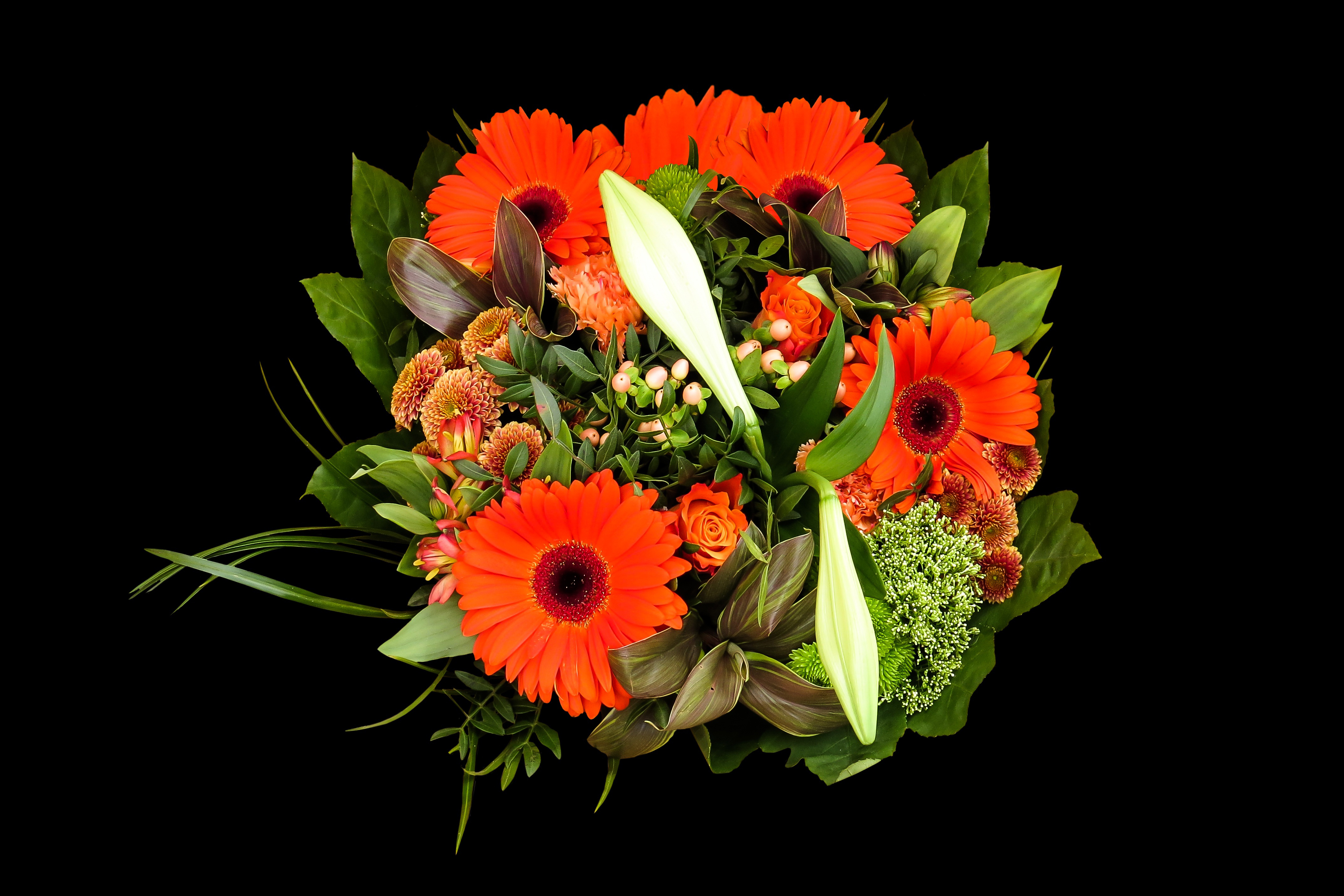 bunch of flowers with black background