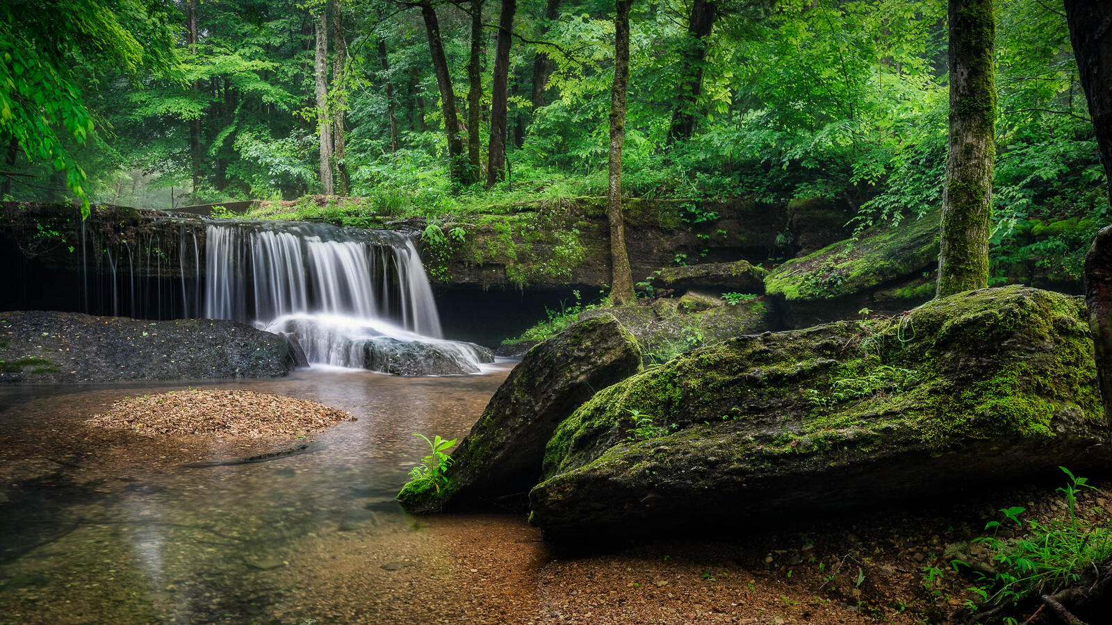 Wallpapers Tennessee You will forest waterfall on the desktop
