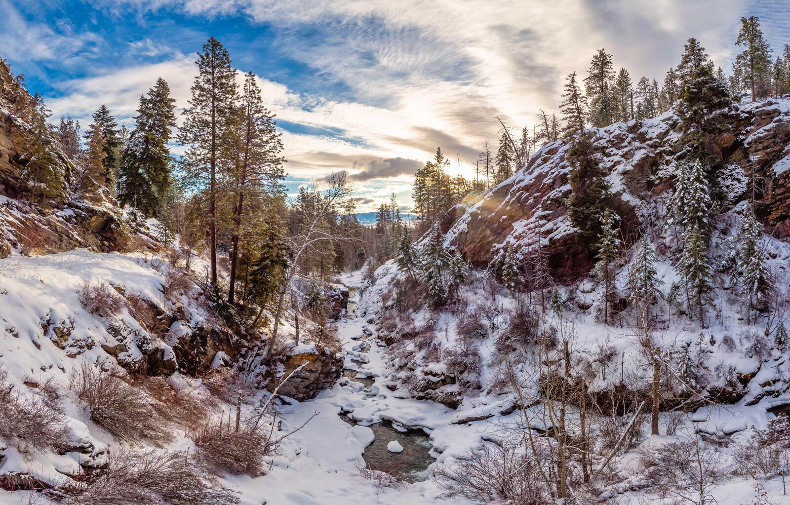 Обои Зима вдоль ручья Кутенай Монтана пейзаж на рабочий стол