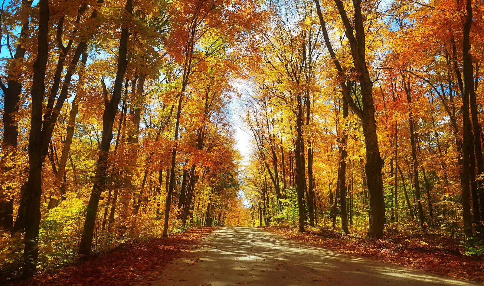 Wallpapers the colours of autumn road colors of autumn on the desktop
