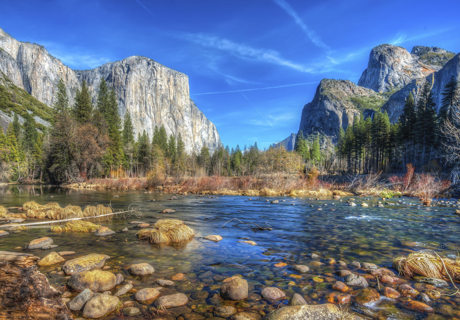 Wallpapers mountains Yosemite national Park trees on the desktop