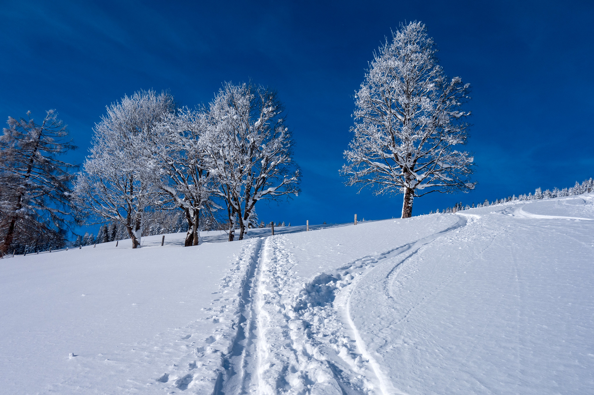 A walk in winter in Sankt Johann im Pongau