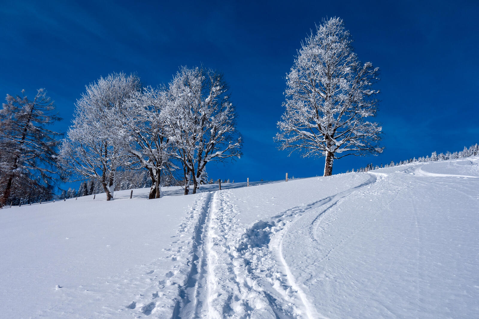 Бесплатное фото Прогулка зимой по Санкт-Йохан-им-Понгау