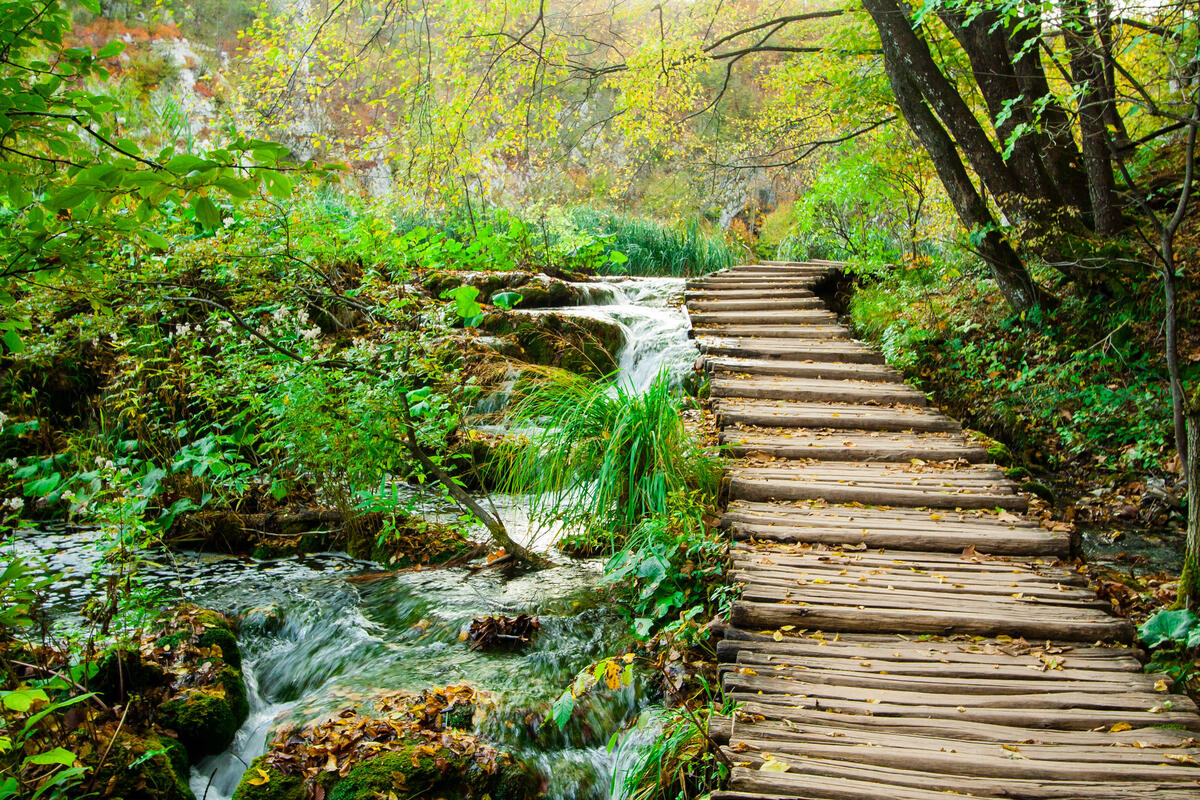 Красивые фотографии на тему национальный парк плитвицкие озера, хорватия